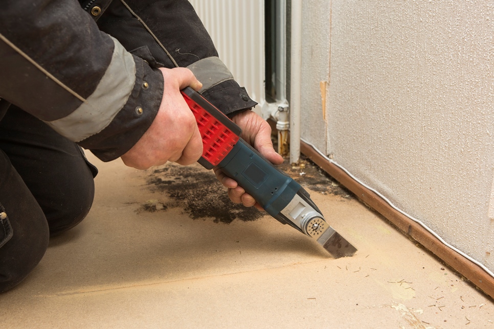 Removing wall boards with mold