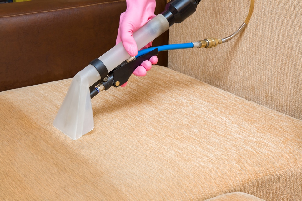Cleaning and sanitizing a couch